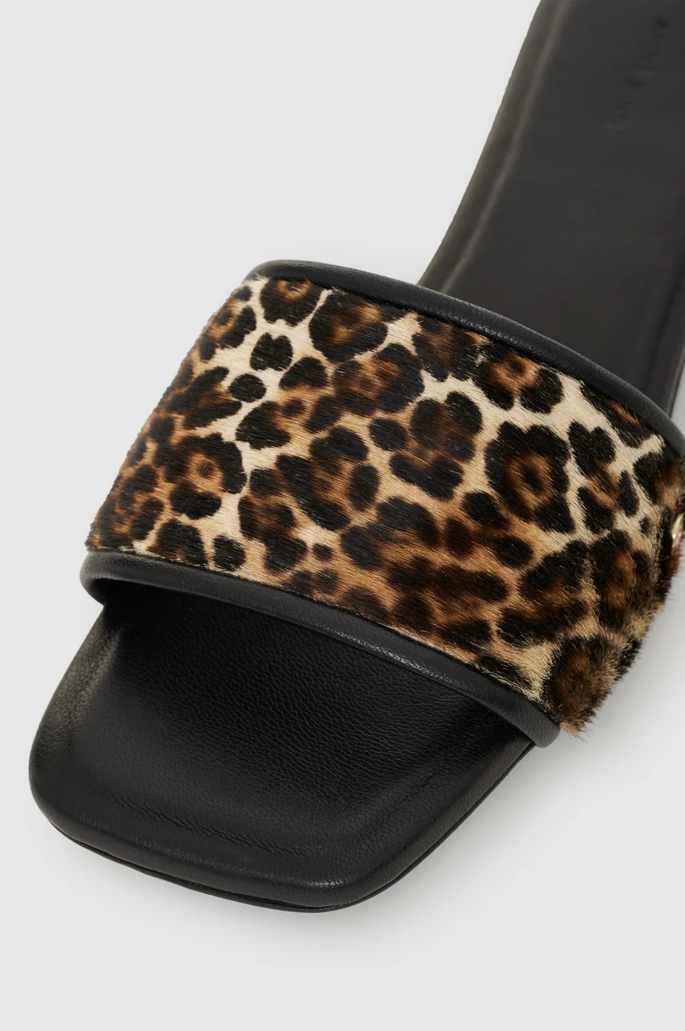 Ria Slides - Leopard - Image 4